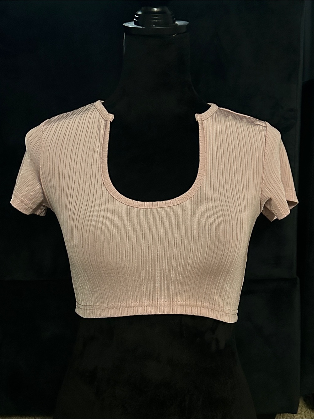 SHEIN Light Pink Ribbed Scoop-Neck Short Sleeve Crop Top